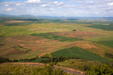 Obraz premium landscape with green field and blue sky