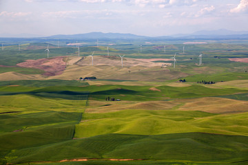 Fototapeta premium landscape with green field 