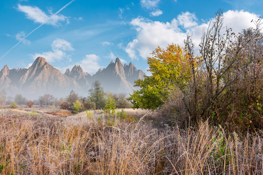 late autumn frosty day composite image. tall grass and trees in fall foliage. mountains with high peaks in the distance under the bright blue sky with fluffy clouds