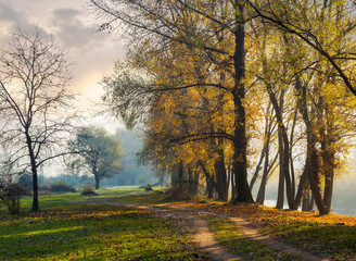autumn scenery near the river. path along the embankment. tall trees in golden foliage on the bank