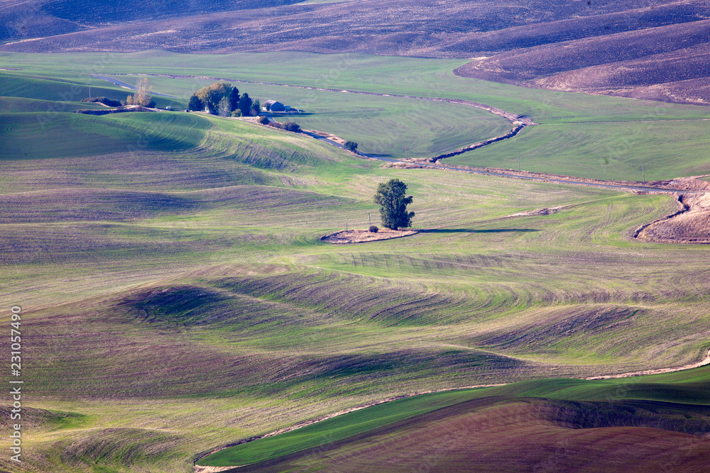 Wall mural aerial view of the fields