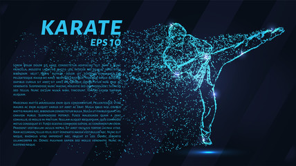 Karate of blue glowing dots. Karate strikes. © newrossosh