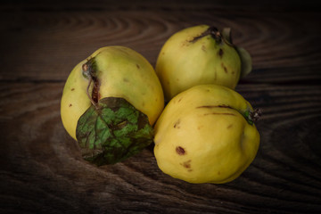 Still life of yellow quinces on old wooden table