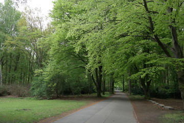 Fototapeta na wymiar berlin park Tiergarten (Mitte/Moabit)