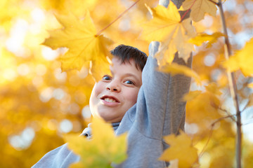 Boy child with yellow leaves is in autumn city park. Bright yellow trees.
