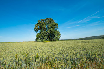 Beautiful nature from Bulgaria
