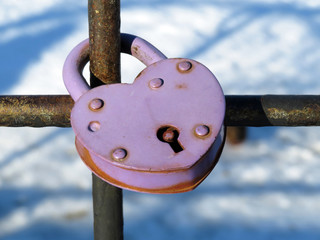 Pink padlock in shape of love heart attached to a bridge in winter park. Snow weather, symbol of eternal love