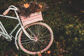Fototapeta na wymiar Old bicycle in the garden with flowers box