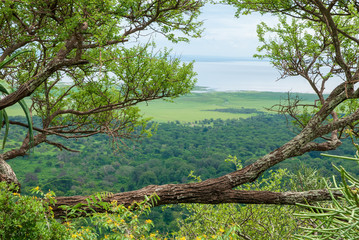 View on Ngorongoro crater in Tanzania