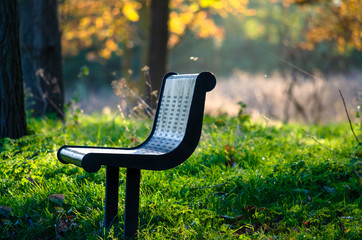 A bench in the park against autumnal woods