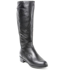 Women's demi-season high boots isolated on white background