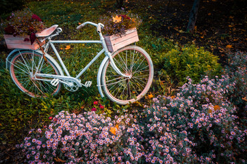 Fototapeta na wymiar Old bicycle in the garden with flowers box