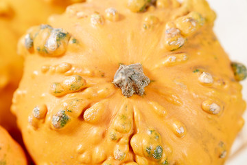 closeup of slice of pumpkin
