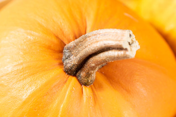 Close up of an orange ripe pumpkin