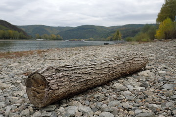 Flussbett des Rheins bei Niedrigwasser N&auml;he Osterspai Ende Oktober 2018 - Stockfoto