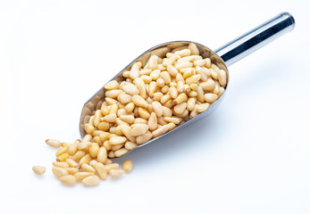 Pine nuts in metal shovel (Collection of various nuts). Isolated on white background.