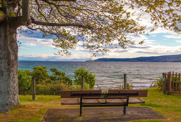 bench in the lake