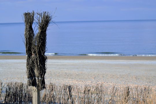 Reisig Biikepf&auml;hle