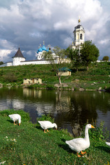 summer landscape with pond, geese and monastery