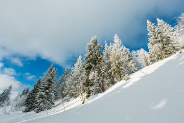 Winter mountain snowy landscape