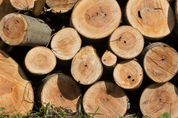 積み上げた丸太