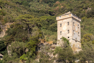 Fototapeta na wymiar La Torre Doria a San Fruttuoso