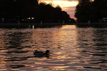 atardecer retiro
