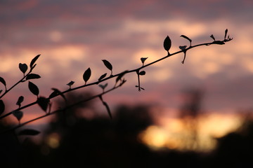 atardecer retiro