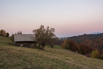 Fototapeta premium A Wooden House and a Tree in a Beautiful Landscape after Sunset