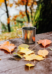 Cup of hot drink in the beautiful autumn forest