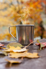 Cup of hot drink in the beautiful autumn forest