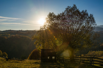 A Small Construction and the Sun Partially Hiding Behind a Tree