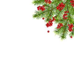 Christmas decoration with fir tree branches and red berries, isolated on white background.