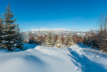 Winter morning Carpathian mountains, Ukraine