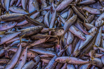soft focus salt fish on outdoor south market background food concept