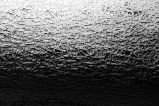 the surface of the melon texture background