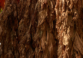 Hanging dry leaves background, close-up. Drying tobacco leaves