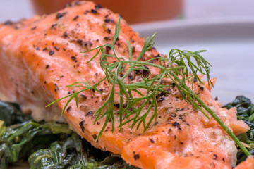 Baked salmo trutta on spinach - healthy food