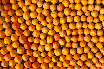 Fototapeta premium Fresh juicy persimmons fruit background, close-up. Agriculture and harvesting concept 