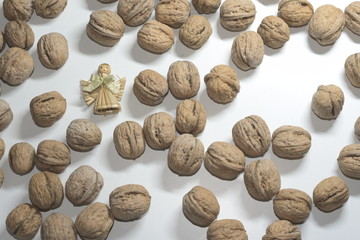 walnüsse, walnuss, nuss, nüsse, nut, nuts, nüsse knacken, Juglans regia, walnut, walnuts,...