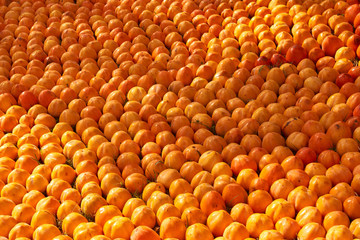 Fresh juicy persimmons fruit background, close-up. Agriculture and harvesting concept 