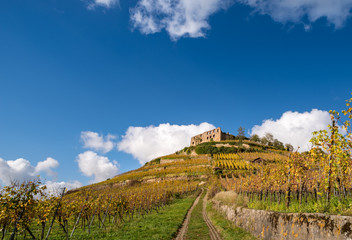 Naklejka premium wo Faust weilte, die Burg der Stadt Staufen im Breisgau