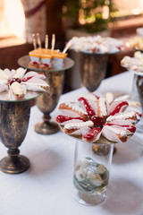 Wedding candy bar service. Delicious macaroons, cookies, pieces of cake and other sweets with chocolate, berries and cream served on the dinner table