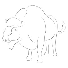 Black linebison on white background. Hand drawing vector. Sketch style graphic animal.