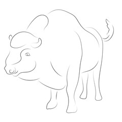 Black linebison on white background. Hand drawing vector. Sketch style graphic animal.