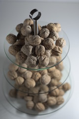 walnüsse, walnuss, nuss, nüsse, nut, nuts, nüsse knacken, Juglans regia, walnut, walnuts,...