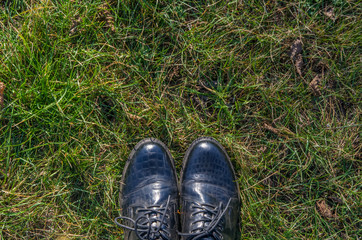 Woman foot in blue shoes standing on grass
