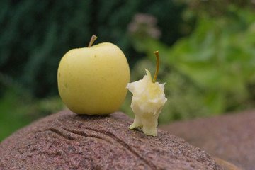apple and apple core