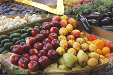 Harvest. Apples, radishes, cabbage and eggplants