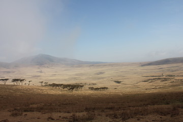 Fototapeta na wymiar Sprawling landscape of the Serengeti